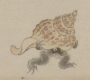 か*み様 60年前のホラ貝　沖縄の魔除け　法螺貝 巨大な法螺貝（ホラ貝）の研磨と激臭との奮闘記 | 石垣・遊び